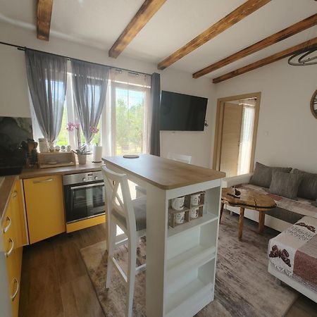 Cattleya Apartment Novigrad  Luaran gambar