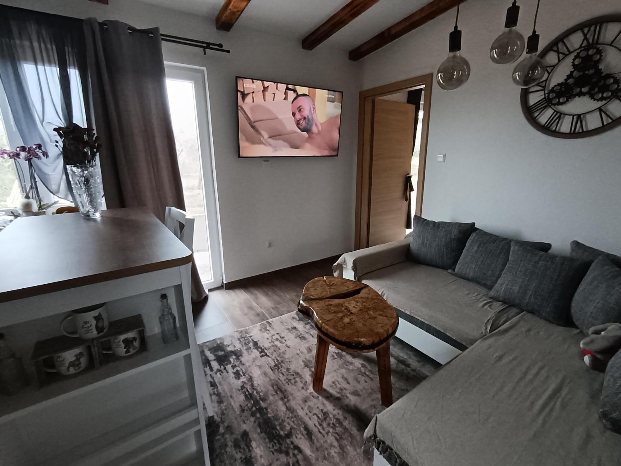 Cattleya Apartment Novigrad  Luaran gambar