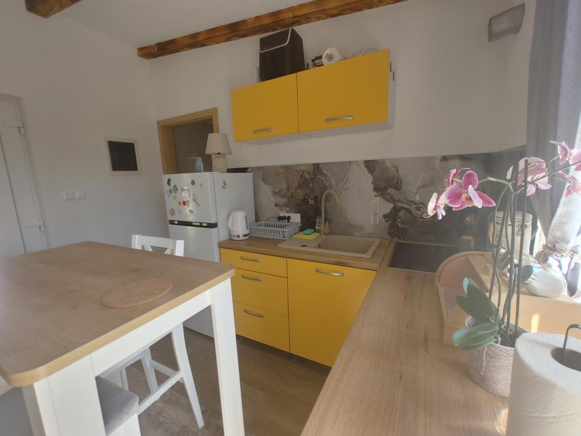 Cattleya Apartment Novigrad  Luaran gambar